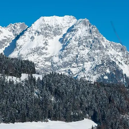 Bauernchalet *